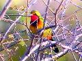 image003.jpg