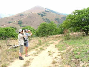 Birdwatchers Counting Birds