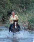 Horseback