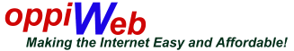 Secure Domain Name Registration and Web Development Services