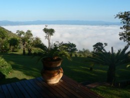 Above the clouds